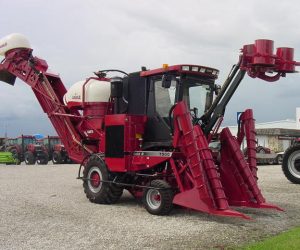 WhatsApp Image 2020-05-07 at 17.30.30