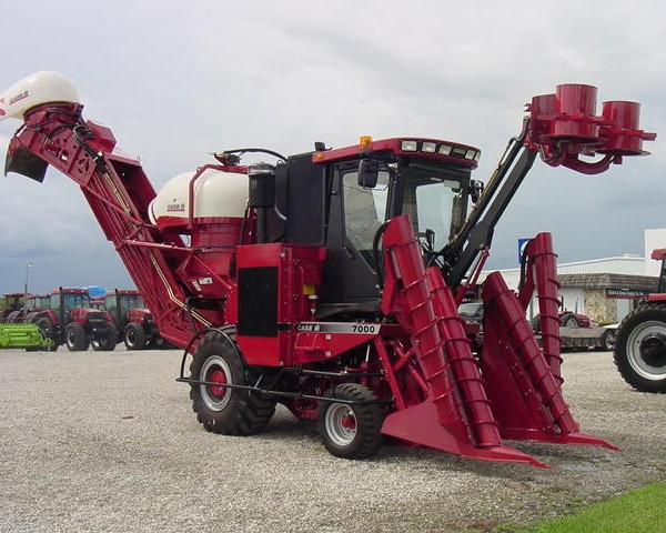 WhatsApp Image 2020-05-07 at 17.30.30