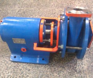 WhatsApp Image 2020-05-07 at 17.30.36