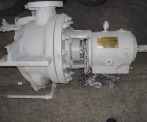 WhatsApp Image 2020-05-07 at 17.30.39